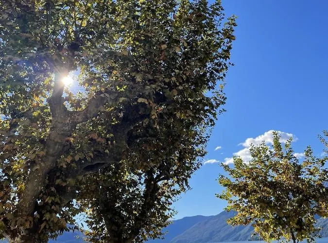 Mon Bijoux Аскона